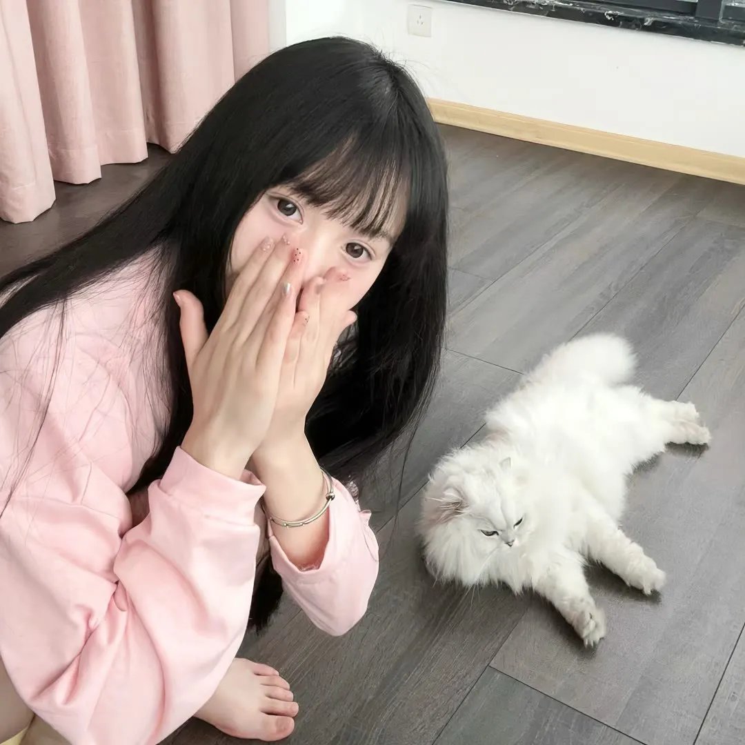 双截龙